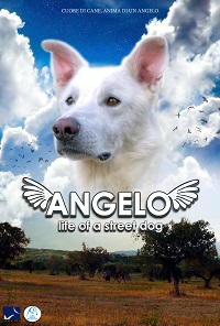 Risultati immagini per ANGELO â€“ LIFE OF A STREET DOG