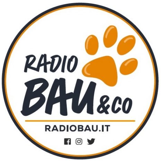 44 sigle del mondo animalista, ambientalista, scientifico ed economico scrivono a Pichetto e Lollobrigida: “Pronti ad incontrare i Ministri per fare chiarezza sulla bozza di ddl caccia”