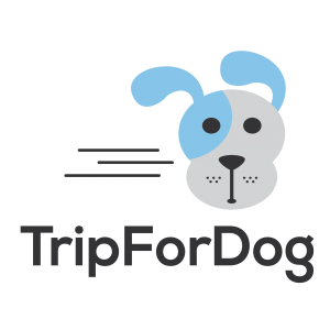 Trip for dog