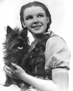 Toto e Judy Garland