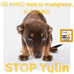 stop yulin