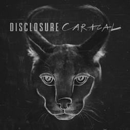 disclousure caracal