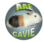 AAE_cavie1