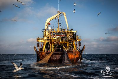 Un super-peschereccio rompe i Regolamenti Internazionali di Collisione Marittima (COLREGS) cercando di intimidire Sea Shepherd