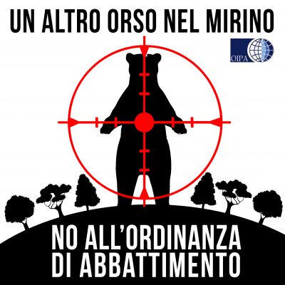 Orsi del Trentino; Cosa dice realmente il Rapporto Ispra-Muse sui famosi “Orsi Problematici"