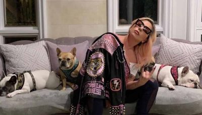 Lady Gaga: sparano al Dog Sitter e le rapiscono i cani.