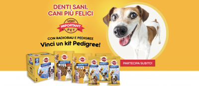 Concorso pedigree