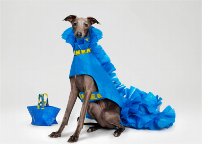 Modificare borse iconiche Ikea in impermeabili per cani