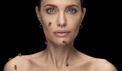 Oggi è il World Bee Day e Angelina Jolie lo celebra così