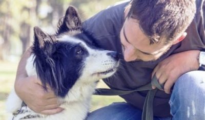Sguardi tra cani e uomini: un fatto di "naso"?