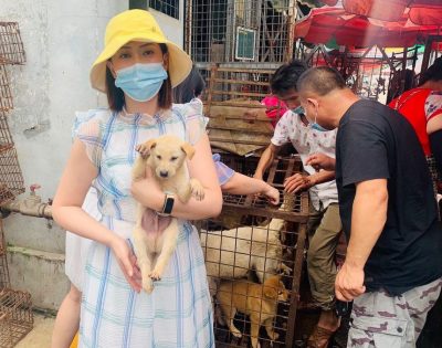 Riparte il Festival di Yulin in Cina: il massacro per la carne di cane