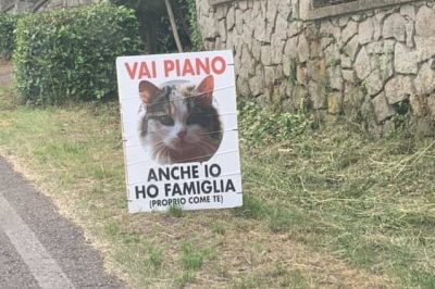 A Viterbo spuntano cartelli stradali per difendere gli animali