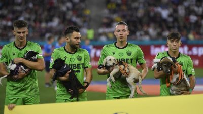 Per un anno, i calciatori della Romania porteranno in campo i cuccioli di cane in cerca di adozione