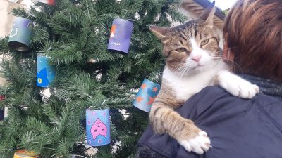 Un Albero di Natale per i Gatti di Portaportese