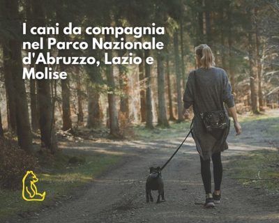 Gestione dei cani da compagnia nel Parco Nazionale d'Abruzzo Lazio e Molise