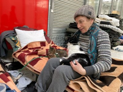Assistenza veterinaria gratuita per gli animali domestici dei rifugiati ucraini grazie a Vets for Ukrainian Pets