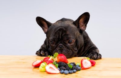 I cani e la frutta