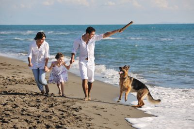 happy family with dog on beach