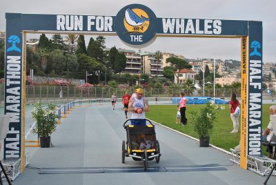 run for the whales 2023