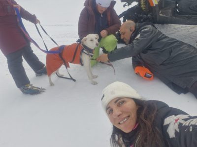 kate la cagnolina