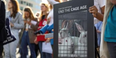 end the cage age