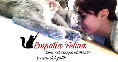 paola Melfi