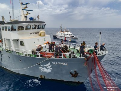 Sea Shepherd