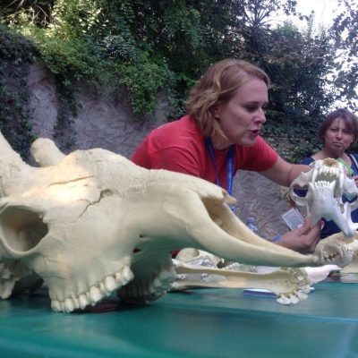 bioparco roma denti 3