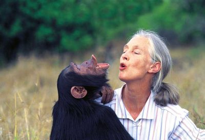 Jane-Goodall