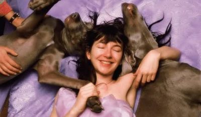 hounds of love kb