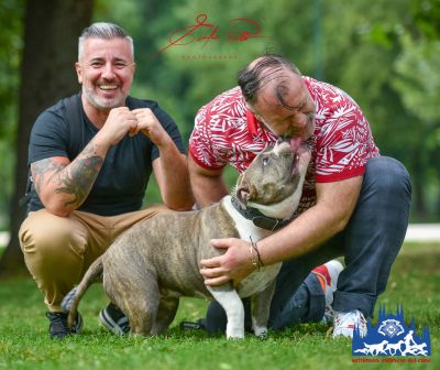cane, ivan, davide