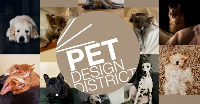 PETDESIGN DISTRICT