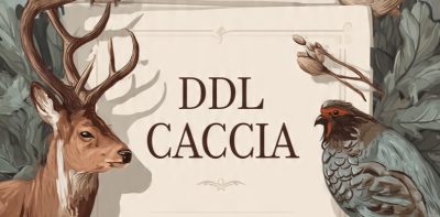 DDL Caccia 2026