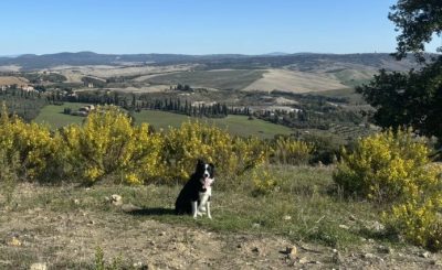 Vignoni Alto - Bagno Vignoni - credits AllTrails