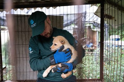 GangjinDogMeatRescue_DSC0866_Original file